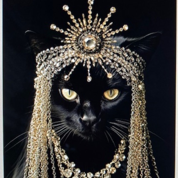 Purrrr⭐️I Found My Hat On Poshmark main image 9